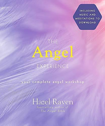 The Angel Experience (Book)