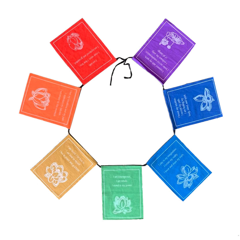 String of 7 colourful rainbow saying/affirmation flag