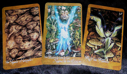 The Faeries' Oracle Cards