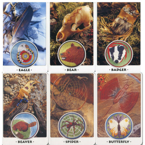 White Eagle Medicine Wheel Cards