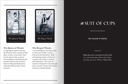 The Phantomwise Tarot Cards