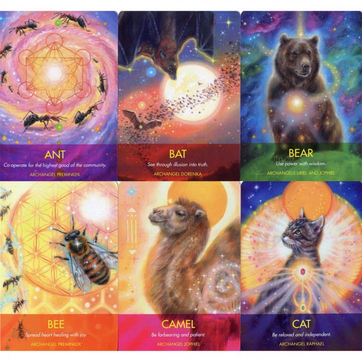 Archangel Animal Oracle Cards