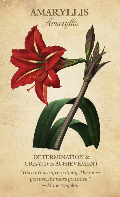 Botanical Inspirations Cards